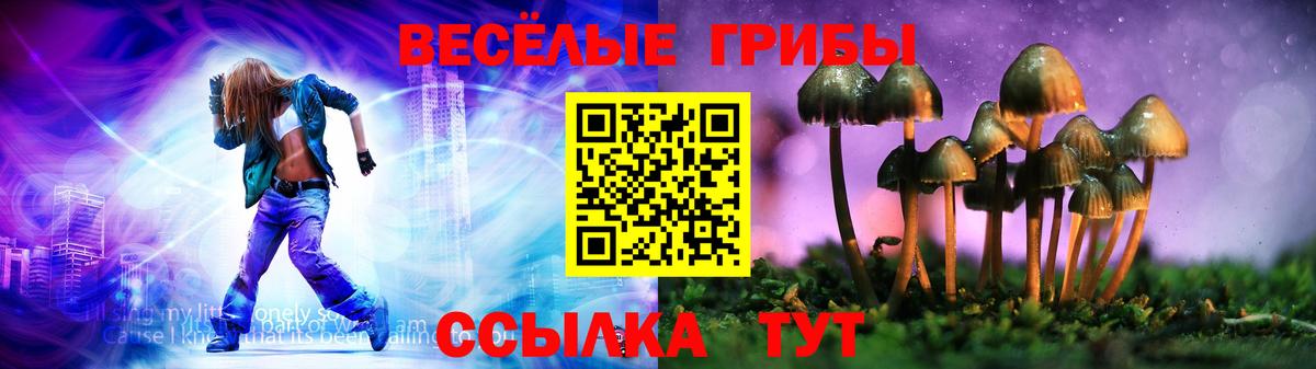 Псилоцибиновые грибы мухоморы Курчатов